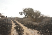 I1646701