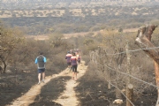 L1646520