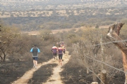 L1646590