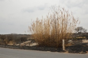 R1646611