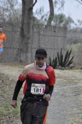 O1645594