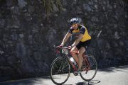 M1652631