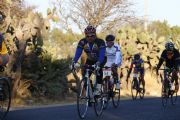 U1650854