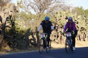 V1651456