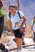 T1664444