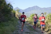 C1669086