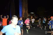O1641715