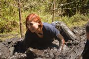 H1662526