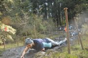 W1663294
