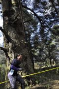 J1656422