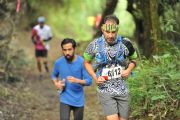 I1705619