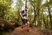 J1711585