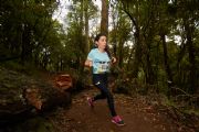 P1712227