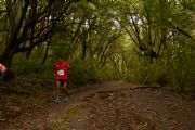 T1711953