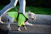 E1708425