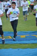 V1684335