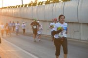 H1688590
