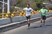 W1688085
