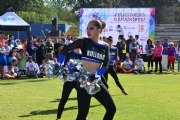 P1682682