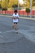 W1681784