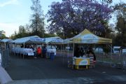 D1681104