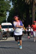6km y 12km