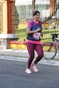 Y1728246