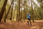 G1739136