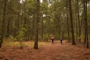J1739201