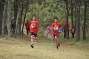 V1739780