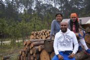 Z1732949