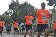 T1733880