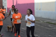 P1736216