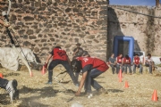 T1740429