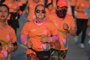 P1741338