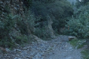 B1749566