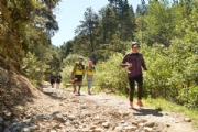 V1749365