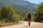 Y1749818