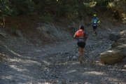D1751719