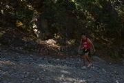 G1751340