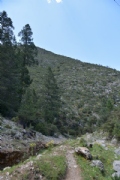 P1751233
