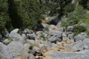 P1751584