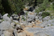 P1751637