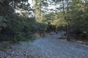 X1751484