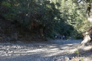 Y1750547