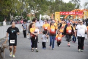 H1766133