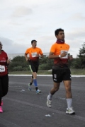 T1773294