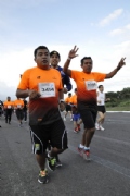 T1773302