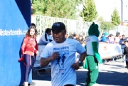 N1757333