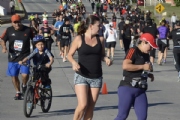 H1761394